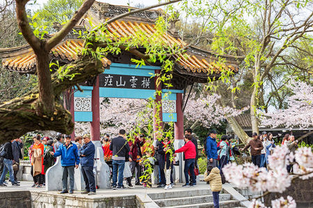 太古注册：《风起洛阳》是什么小说改编？《风起洛阳》阵容剧情介绍<span id=